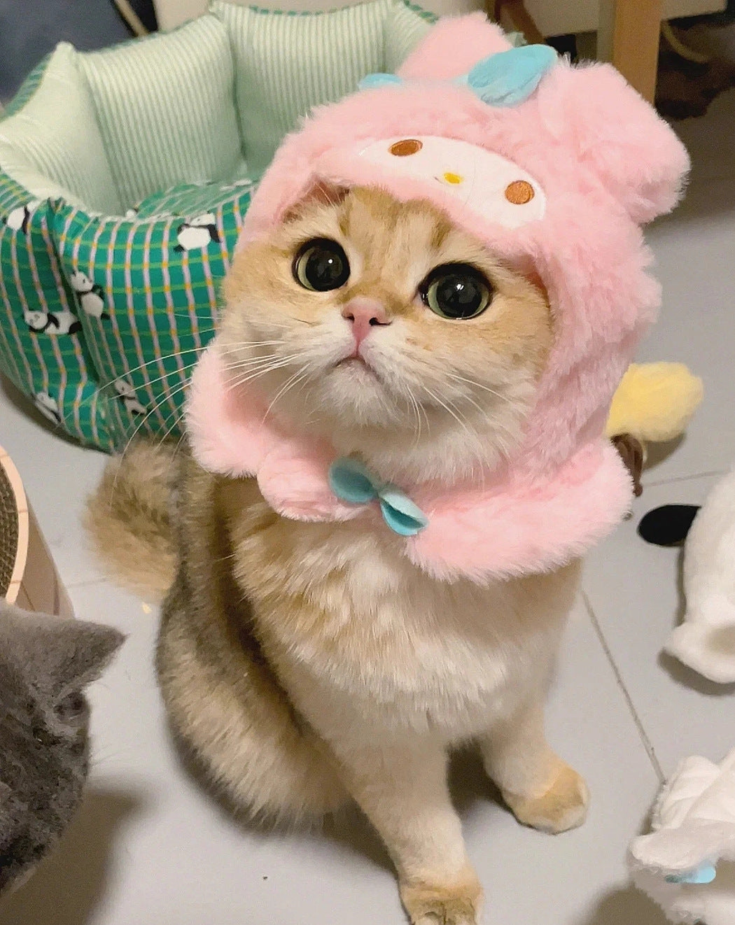 【寵物貓咪卡通CuteCute頭套】